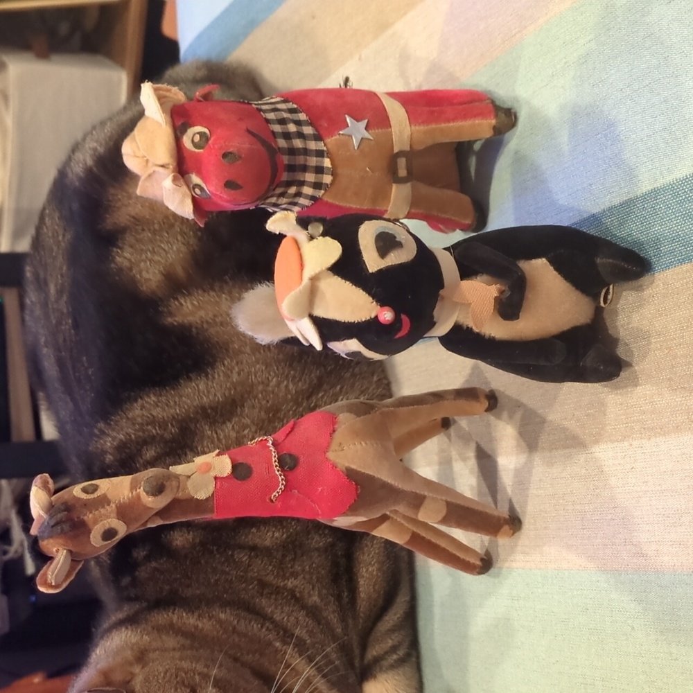 Vintage dream pets